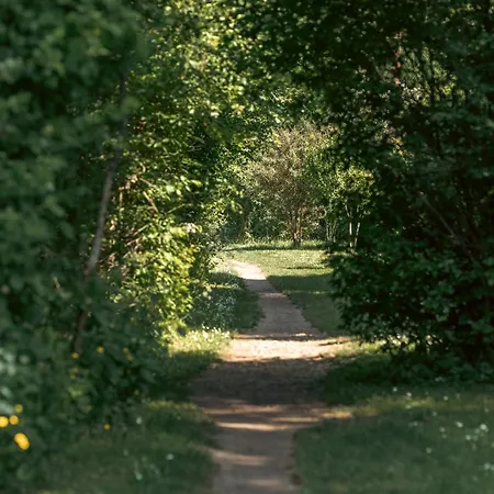 La Riviere 10 Mn Disneylandparis بيت للعطل